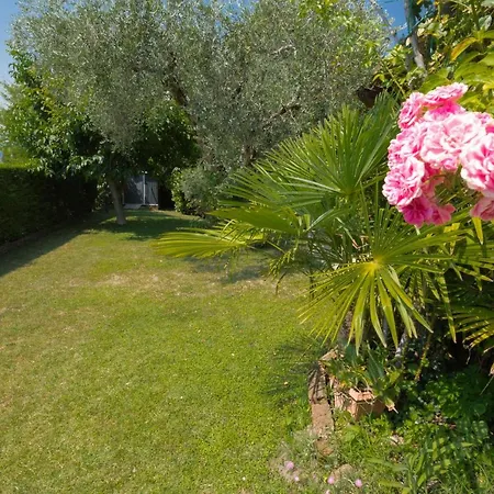 Formica 巴多利诺