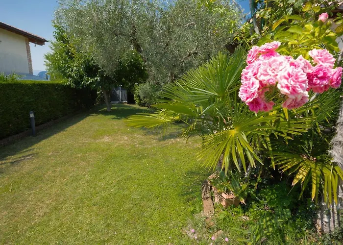 Formica 바르돌리노