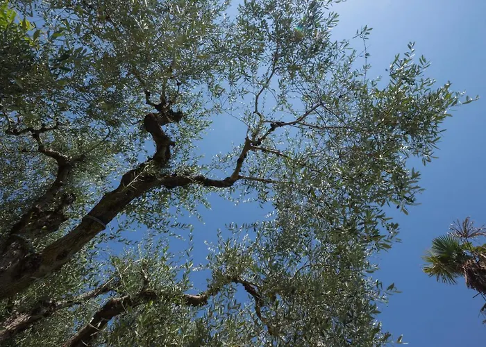 펜션 Formica 바르돌리노